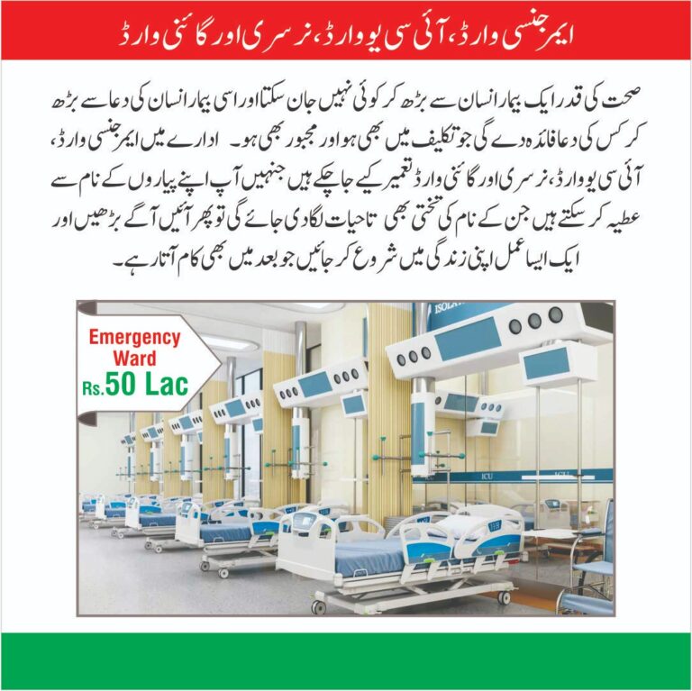 WhatsApp Image 2026-02-17 at 10.42.15 PM